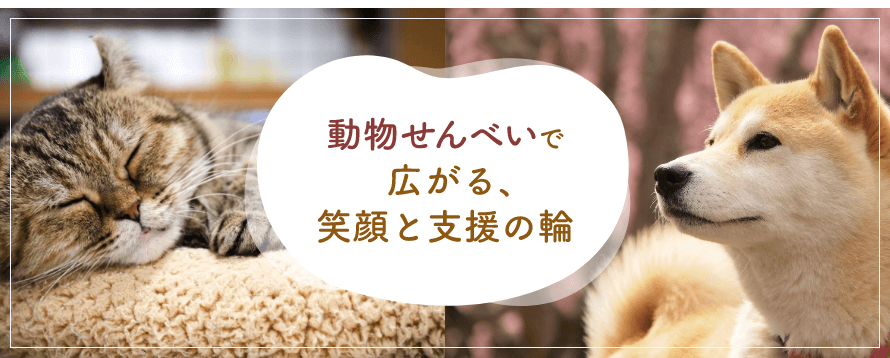 動物せんべいで広がる、笑顔と支援の輪